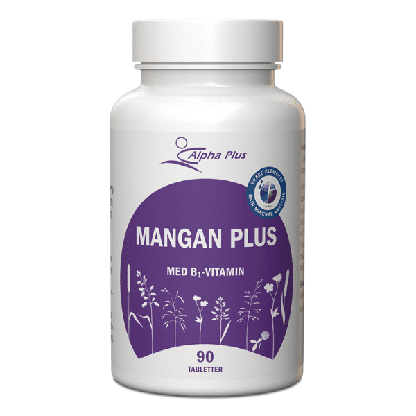 Mangan Plus
